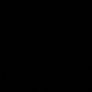 Meet your Posher, Tink